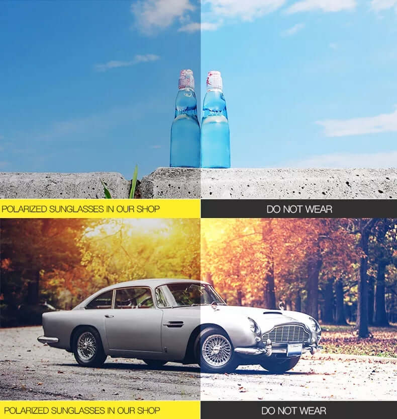 Premium Design Wayfarer Sunglasses