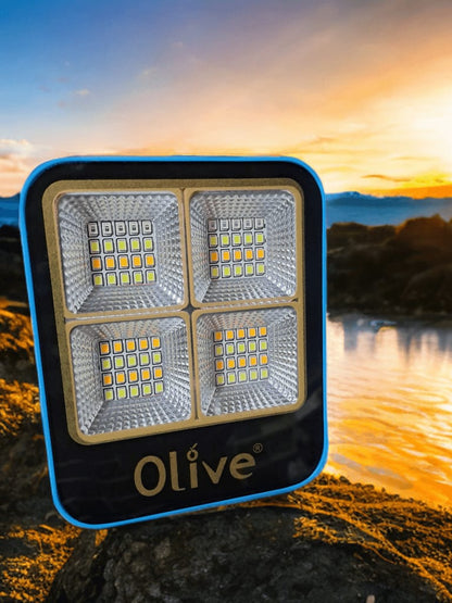 Smart Solar Handy LED Light